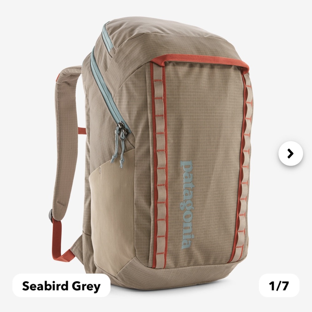 NWT 🩵 Patagonia Black Hole® Pack 32L Backpack in Seabird Gray